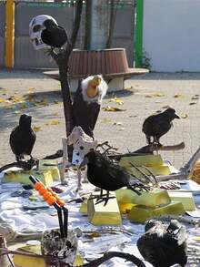 1/3/5Pcs Halloween Black Crow Model Simulation Fake Bird Animal Scary Toys For Halloween Party Home Decoration Horror Props,Christmas - Black - View 6