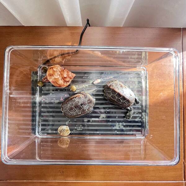 Reptile & Amphibian Heating Pad – Waterproof Pet Heat Mat For Turtles, Lizards, Dogs & Cats, Bite-Resistant, Anti-Leak Design, Available In Switch & Non-Switch Models, Suitable For Small/Medium/Large Pets