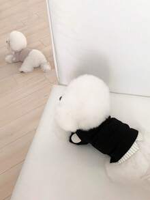 1pc Embroidered Pet Clothes, Dog/Cat Patchwork T-Shirt, Warm & Comfortable Undershirt Suitable For Small/Medium Dogs And Cats - Multicolor - View 6