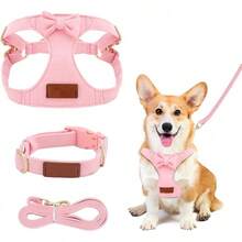 Standard Leashes - XS - View 8
