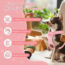 Standard Leashes - XS - View 2