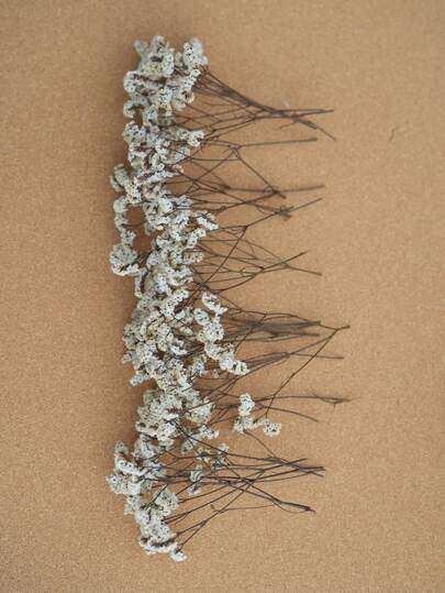 25/50/100/200/300pcs Multi-Color Mini Dried Babys Breath Bouquet - Bohemian Style Pink, Red, Purple, Yellow, White, Turquoise - Durable Wedding Centerpiece Decor, Home Decoration, Valentine's Day, Christmas, Birthday - Maintenance-Free, Long-Lasting Vibrant Tabletop Decor, Handwoven Floral Bouquet, Seasonal Decoration, Event Planning Essential