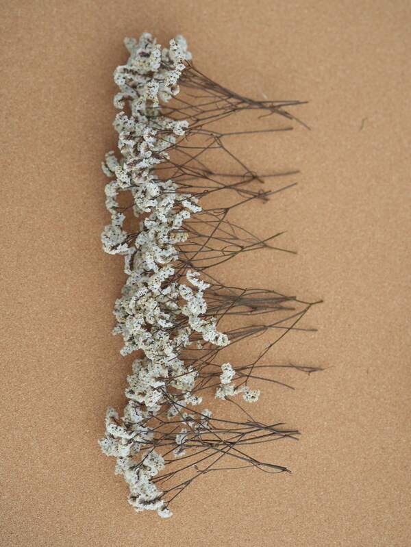 25/50/100/200/300pcs Multi-Color Mini Dried Babys Breath Bouquet - Bohemian Style Pink, Red, Purple, Yellow, White, Turquoise - Durable Wedding Centerpiece, Home Decor, Valentine's Day, Christmas, Birthday - Maintenance-Free, Long-Lasting Vibrant Tabletop Decor, Handwoven Floral Bouquet, Seasonal Decoration, Event Planning Essential