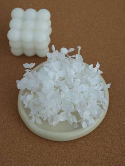 1/5 caja de flores de lirio naturales secas, colores vibrantes, adecuadas para proyectos DIY, accesorios de fotografía, marcadores de libros, decoración de bodas y fiestas, decoración del hogar, regalos de cumpleaños, regalos festivos, San Valentín y Navidad