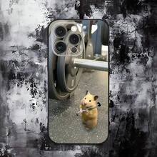 z6