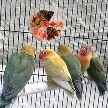 1pc Transparent Rotating Parrot Puzzle Feeder, Automatic Food Dispenser, Rotating Chew Snack Box, Acrylic Parrot Feeding Wheel, Interactive Bird Treat Dispenser And Intelligence Training Toy, Suitable For Cockatiel, Lovebird, Cockatoo And Conure - Multicolor - View 3