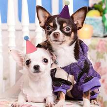 3pcs Mini Party Hats - Pink And Bright Colors (Blue, Pink, Yellow, Green, Orange, Purple) - Lightweight And Durable Polyester Cone Hats, Suitable For Birthday, Wedding, Halloween, Christmas, New Year - Pet Costume Party Decor, Dolls, Plush Animals, Puppies, Kittens, Bunnies - Easy To Clean Party Decor, Holiday Celebration, Joke Design, Hand Wash Only, Celebration Supplies, Holiday Shoppers