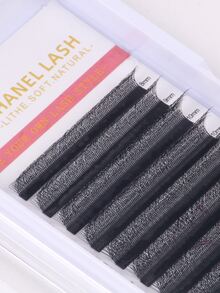 12 Reihen C/D/L Curl 3D W YY 4DW 5DW Wimpern 0,07 Mix Einzellänge 8-15mm Vorbereitete W Fächer Wimpernverlängerungen Natürlich Weich Schwarz W-förmiger Stil Wimpern Künstliche Nerz Einzelwimpern Cluster Natürlich Weich Brasilianische Wimpernverlängerungen Vorbereitete Volumen Fächer Wimpern, Kleeblatt Wimpern