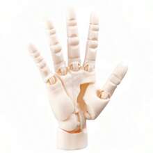 1个高灵活性可动右手模型，适用于涂装娃娃、可动人偶、生日/圣诞礼物，完美之选。 - 彩色 - 查看 6