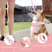 Standard Leashes - XS - View 3