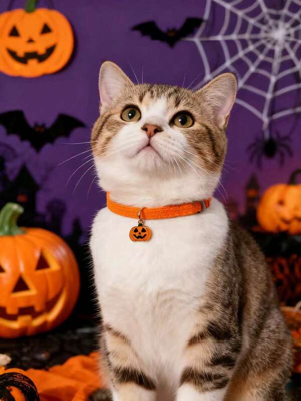 Collare per gatti e cani di taglia piccola/media a tema Ognissanti con teschio scheletrico, fantasma, zucca e pipistrello