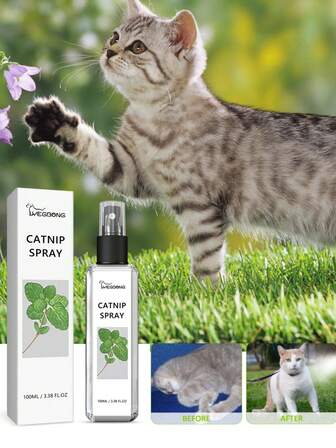 1PC Catnip Spray Can Relieve Your Cat's Anxiety And Enhance Its Vitality