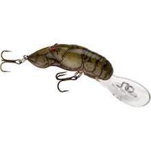 Stream Craw