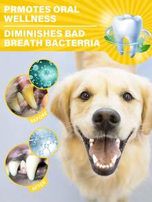 GJYC PET Zaawansowany zestaw do pielęgnacji zębów dla zwierząt | Zawiera pastę do zębów, szczoteczkę do zębów i szczoteczkę na palec | Zmniejsza odkładanie się płytki nazębnej i kamienia nazębnego | Dla szczeniąt, zestaw 3-częściowy, smak mleka - Biały - Zobacz 5