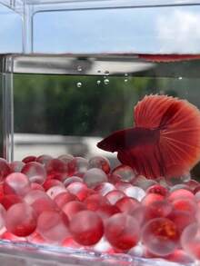 磨砂彩色玻璃珠适用于水族箱——鱼缸装饰、玻璃容器造景、DIY微景观花瓶填充物、水族沙基基质 - 彩色 - 查看 5