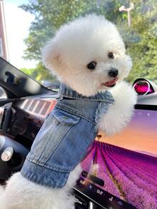 1 pieza Ropa para mascotas, Ropa exterior moderna, cómoda y con estilo casual y adorable para perros y gatos pequeños