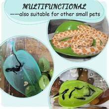 12 piezas Decoración de recipiente de vidrio para reptiles y animales acuáticos, accesorios para ranas arbóreas y serpientes, adecuado para: plataforma de tomar el sol para tortugas, juguetes para trepar en la pared para lagartos y geckos, decoración de hábitat para peces de acuario y camarones - con tazón de alimentación y ventosa para plantas