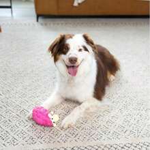 Outward Hound Tootiez Sheep Grunting Latex Rubber Dog Toy, Small - MàuF - Xem 5