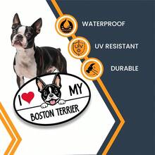 I Love My Terrier - Calcomana magntica para coche, 4x 6 pulgadas, ovalada, decoracin para vehculo, nevera, lindo perro mirador, imn de parachoques para amantes de la - Boston Terrier - Ver 5