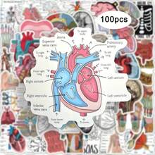 50pcs Vibrant Anatomy & Science Cartoon Stickers - Educational Vinyl Decals For Laptops, Water Bottles, Skateboards | Durable Self-Adhesive, Perfect For Students & Enthusiasts, Cool Stickers - Multicolor - View 11