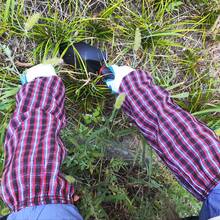 1 Par de Mangas de Trabalho em Algodão Poliéster, Mangas Protetoras para Trabalhos Domésticos com Padrão Xadrez Vermelho, Mangas Protetoras para Limpeza de Cozinha, Mangas Protetoras Antipoeira e à Prova de Óleo, Capas de Braço Resistentes a Manchas para Lavar Louça, Jardinagem, Pintura, Limpeza, Cozinha