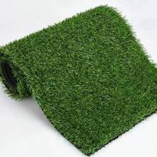 Approx. 1m X 0.5m / 1m X 1m / 1m X 2m / 1m X 3m / 1m X 4m / 1m X 5m / 1m X 6m Thin Artificial Grass Mat, Durable, Easy To Cut, Fire & Water Resistant, Suitable For Outdoor/Indoor, Patio, Balcony, Pet Play Area - Low Maintenance Yard Solution, Natural Appearance, Easy Installation, High Quality Material, Party Backdrop, Event Planning