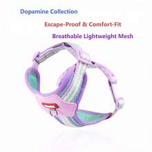 Lightweight Breathable Dopamine Contrast Color Pet Chest Harness, Dog Walking Harness Accessories