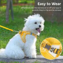 Dog Harness And Leash SetSoft Mesh Breathable Small Dog Harness Reflective Adjustable Puppy Harness No Pull Pet Harness For Small Dogs And Cats - 中+黃色 - 查看 4
