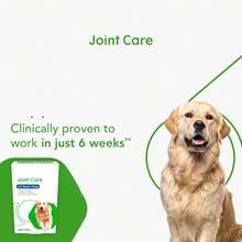 Senior Maximum Strength 120 Capsules.Protect Your Dog's Joints - Coffee Brown - View 4