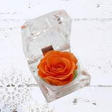 Gift Wrap Boxes - Image 9 - View 5