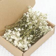 1 Box Bulk Green Stem & White Gypsophila Dried Flowers, DIY Material, Holiday Gift, In Stock Hot