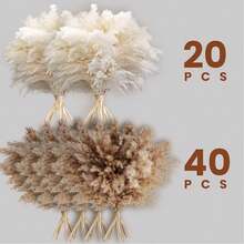 10/20pcs White Artificial Pampas Grass Decoration 17.3 Inch Small Fake Reed Feather Bouquet, Brown Pampas Grass Decoration Bohemian Style Room Floral Decoration Wedding Vase Door Wreath Decoration, Bedroom Decor, Boho Wedding Decor, Floor Decor, Ceremony Backdrop Artificial Bouquet, Mother's Day Gift, Birthday Anniversary Gift, DIY Wreath Decor