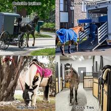 3pcs Stainless Steel Horse Tack Set - Durable Collar Strap With Quick Buckle And Swivel Bolt, Multipurpose For Training And Safety