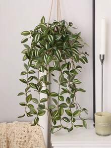 1/2 pezzi Piante artificiali, Hitchhike, Quattro scelte, A, Zebrina rossa, Inchplant, B, Zebrina verde, C, Peperomia, D, Fittonia Inchplant verde, decorazioni senza vasi per decorazioni tutto l'anno, scuola, dormitorio, ufficio, feste, compleanni, decorazioni per la casa, hotel, ristoranti, salotti, camere da letto, matrimoni, cucine e giardino