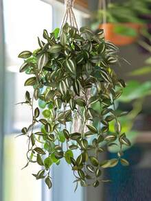 1/2株仿真植物，藤蔓装饰，4种可选：A. 红色眉叶，B. 绿色眉叶，C. 胡椒草，D. 网草薄荷叶。绿色装饰品，不含花盆，适合全年装饰，可用于学校宿舍、办公室、派对、生日、家居、酒店、餐厅、客厅、卧室、婚礼、情人节、春夏装饰、厨房和花园。