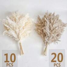 10/20pcs White Artificial Pampas Grass Decoration 17.3 Inch Small Fake Reed Feather Bouquet, Brown Pampas Grass Decoration Bohemian Style Room Floral Decoration Wedding Vase Door Wreath Decoration, Bedroom Decor, Boho Wedding Decor, Floor Decor, Ceremony Backdrop Artificial Bouquet, Mother's Day Gift, Birthday Anniversary Gift, DIY Wreath Decor