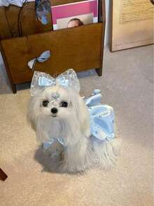 Robe de princesse en tulle avec nœud en strass fait main pour animaux de compagnie (à l'exclusion des accessoires pour cheveux) - Bleu azur - Voir 5