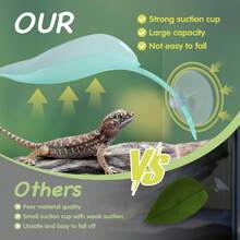 12 piezas Decoración de recipiente de vidrio para reptiles y animales acuáticos, accesorios para ranas arbóreas y serpientes, adecuado para: plataforma de tomar el sol para tortugas, juguetes para trepar en la pared para lagartos y geckos, decoración de hábitat para peces de acuario y camarones - con tazón de alimentación y ventosa para plantas