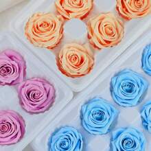 Gift Wrap Boxes - Image 7 - View 6