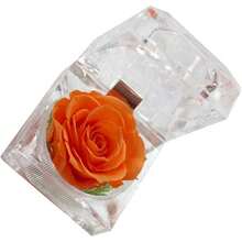 Gift Wrap Boxes - Image 9 - View 9