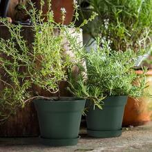 Juego de 15 macetas de plástico de 6 pulgadas conúltiples orificios de drenaje y bandejas, macetas para flores de jardín, hogar y suculentas de interior y exterior. (verde) - verde - Ver 1
