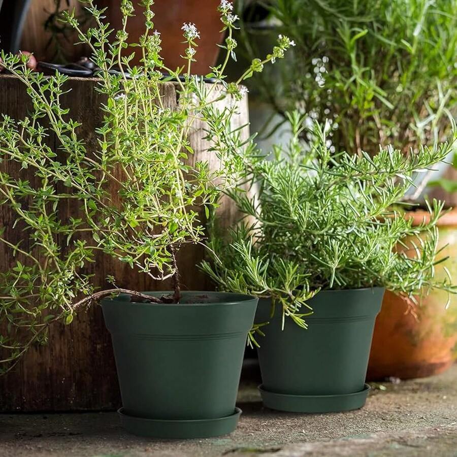 Juego de 15 macetas de plástico de 6 pulgadas conúltiples orificios de drenaje y bandejas, macetas para flores de jardín, hogar y suculentas de interior y exterior. (verde) - verde - Ver 1