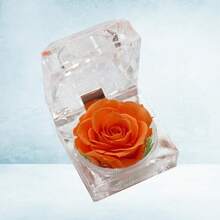 Gift Wrap Boxes - Image 9 - View 4