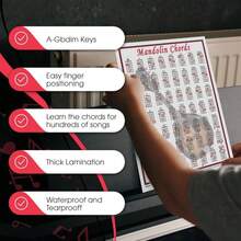 Mini Mandolin Chord Chart Poster - Laminated Mandolin Instrument Chart For Beginners And Musicians - Music Theory Poster With 56 Chords - Mandolin Accessories - 85&#34; X 11&#34; - Walrus Productions