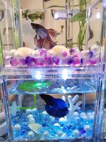 磨砂彩色玻璃珠适用于水族箱——鱼缸装饰、玻璃容器造景、DIY微景观花瓶填充物、水族沙基基质 - 彩色 - 查看 9