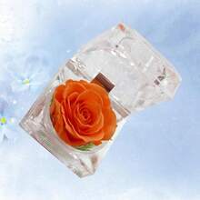 Gift Wrap Boxes - Image 9 - View 7