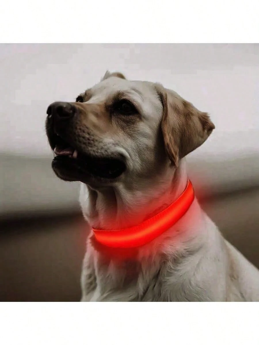 1 pièce Collier lumineux réglable rayé pour chien/chat, collier de fluorescent pour animaux de compagnie pour la nuit 6
