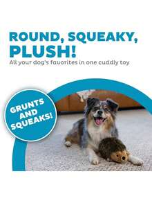 Outward Hound, Hedgehogz Plush Dog Toy, Medium - 假日刺猬 - 查看 2