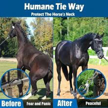 3pcs Stainless Steel Horse Tack Set - Durable Collar Strap With Quick Buckle And Swivel Bolt, Multipurpose For Training And Safety