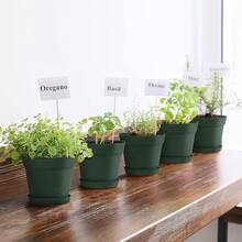 Juego de 15 macetas de plástico de 6 pulgadas conúltiples orificios de drenaje y bandejas, macetas para flores de jardín, hogar y suculentas de interior y exterior. (verde) - verde - Ver 3